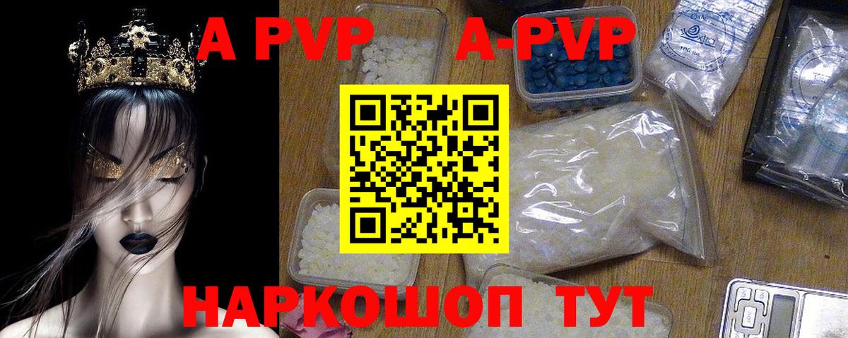 A PVP СК Фрязино