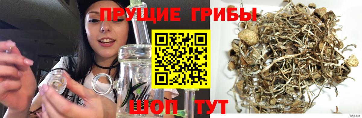 Галлюциногенные грибы ЛСД Фрязино